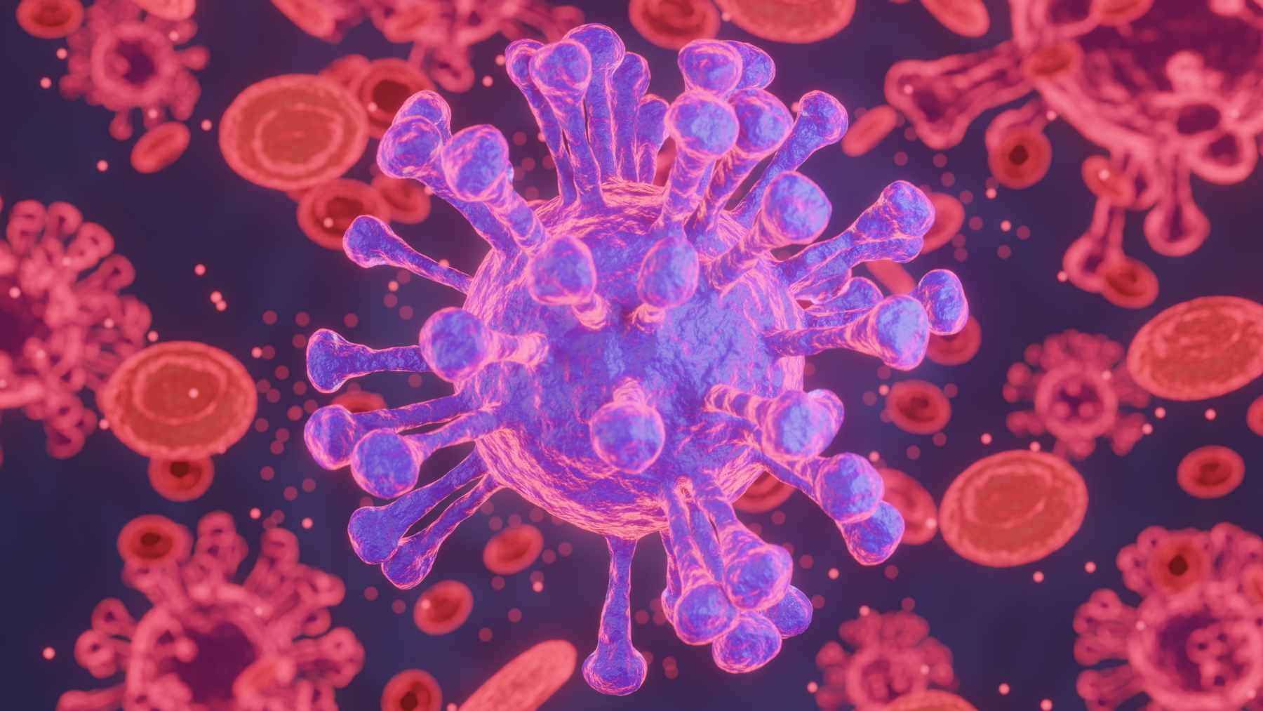 Microscopic view of Toxoplasma gondii, the parasite linked to worldwide infections and potential cognitive effects.