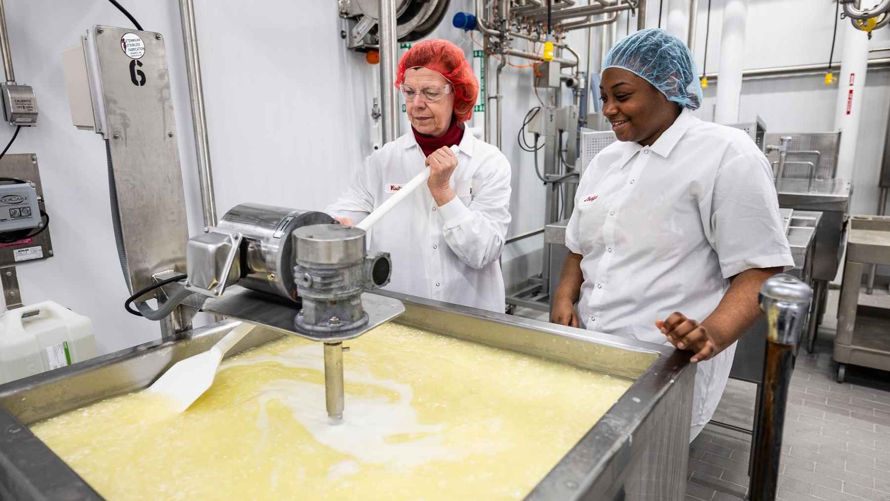 Liquid whey is collected during cheesemaking before being processed into high-protein ingredients used in nutrition and food products.