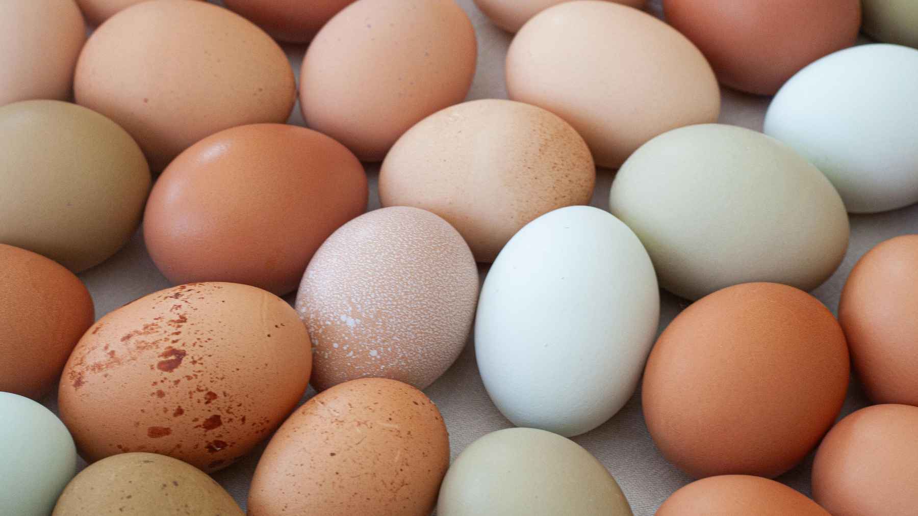 How many eggs a day is too many for your cholesterol? One expert finally names the number that could change your breakfast 1 Assorted whole eggs illustrating expert guidance on daily egg consumption and cholesterol as part of a healthy diet.
