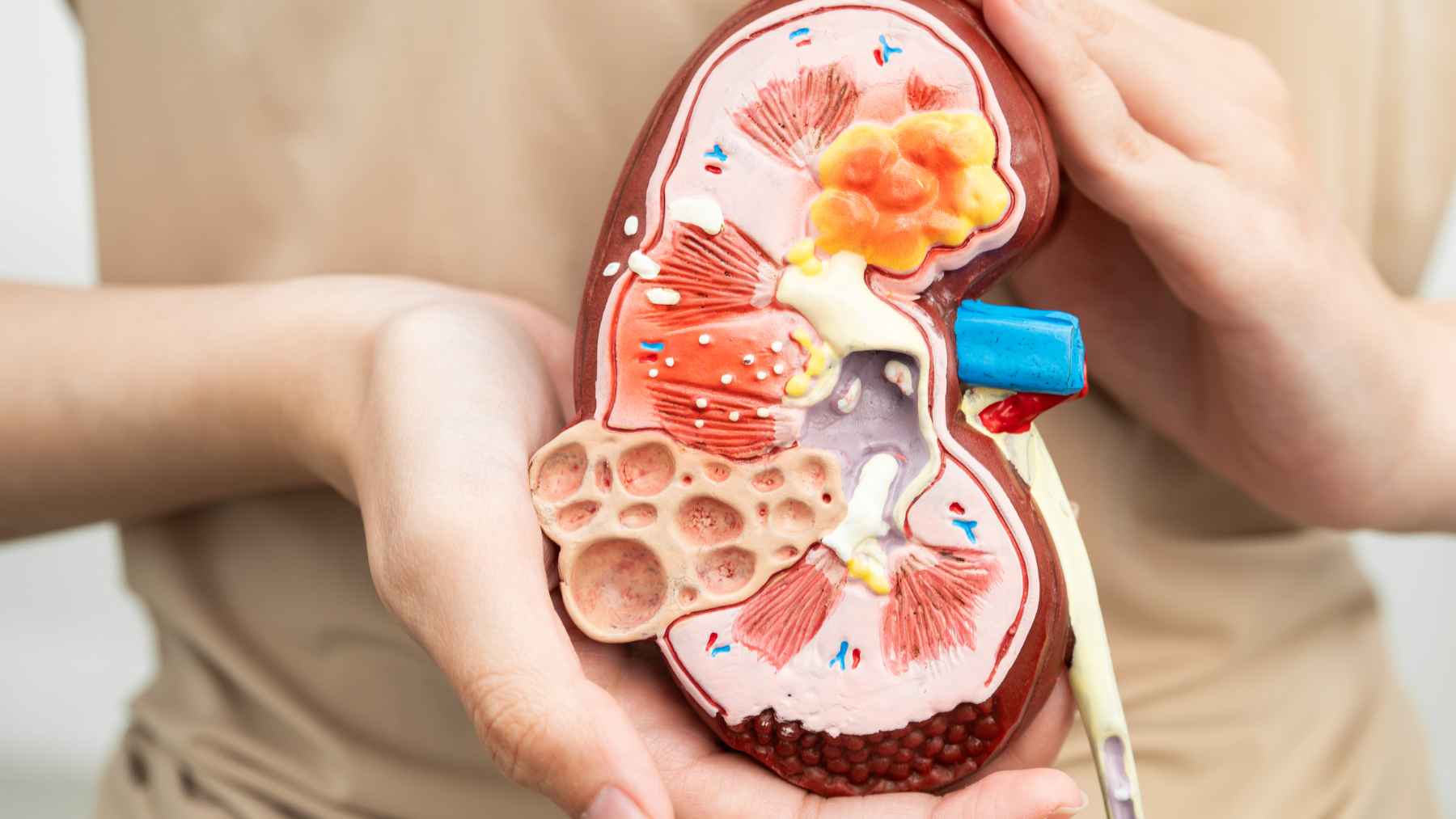 Healthcare professional speaking with a kidney cancer patient, highlighting the importance of emotional wellbeing during diagnosis and treatment.