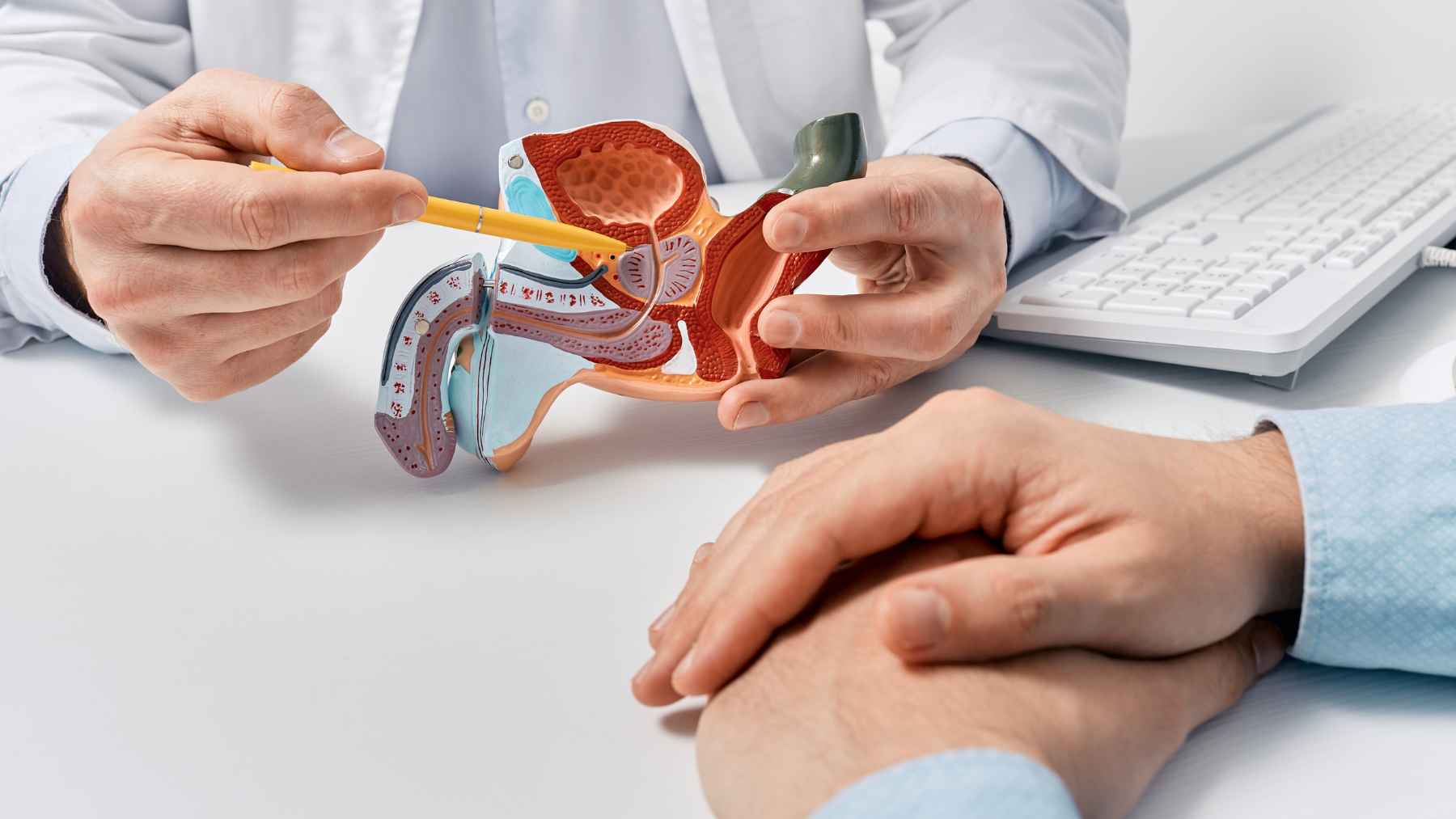 Medical technology equipment used for targeted focal therapy and high-intensity focused ultrasound in prostate cancer treatment.