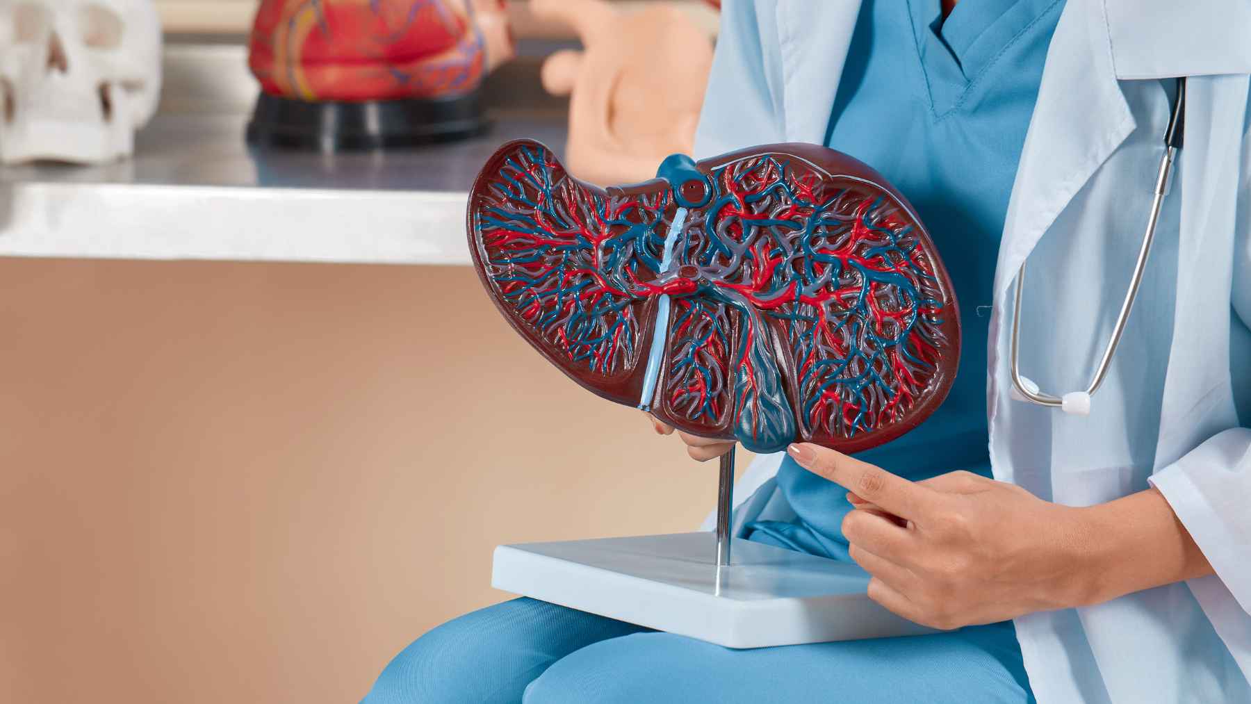 Laboratory scientific illustration representing gut bacteria, ammonia production, and liver health pathways.