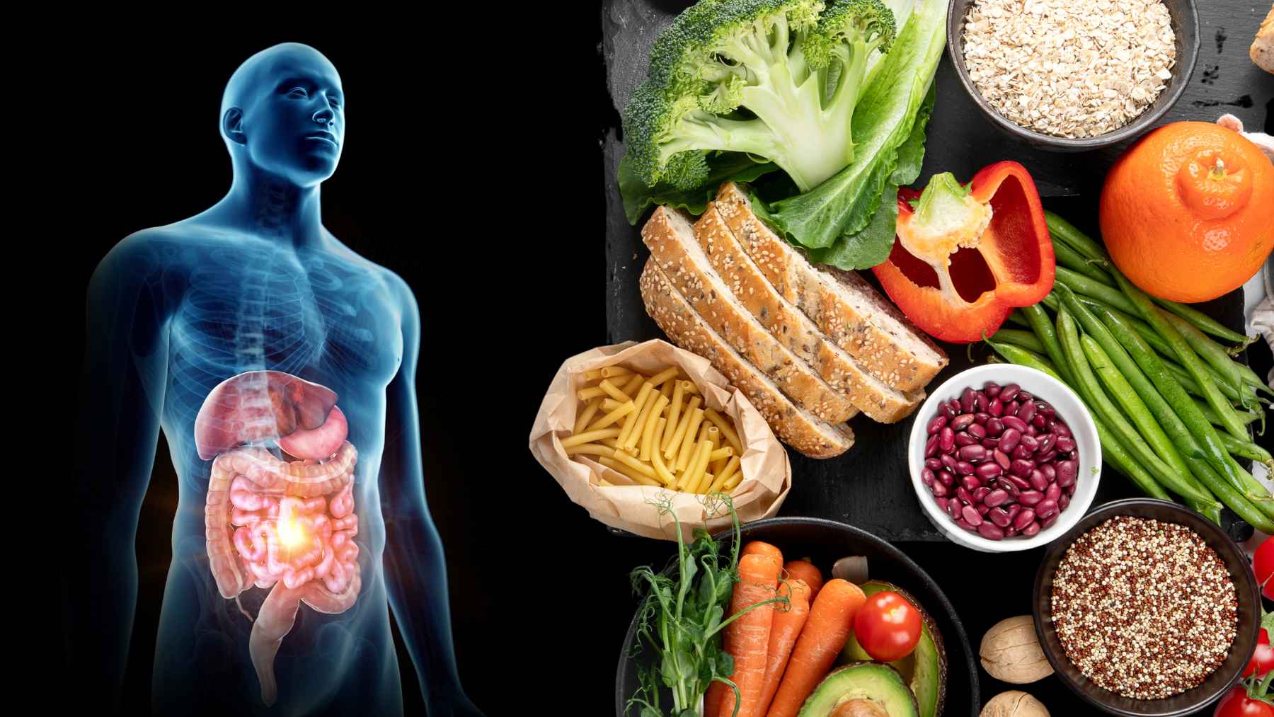 Illustration of the digestive system alongside fiber-rich foods that support gut health