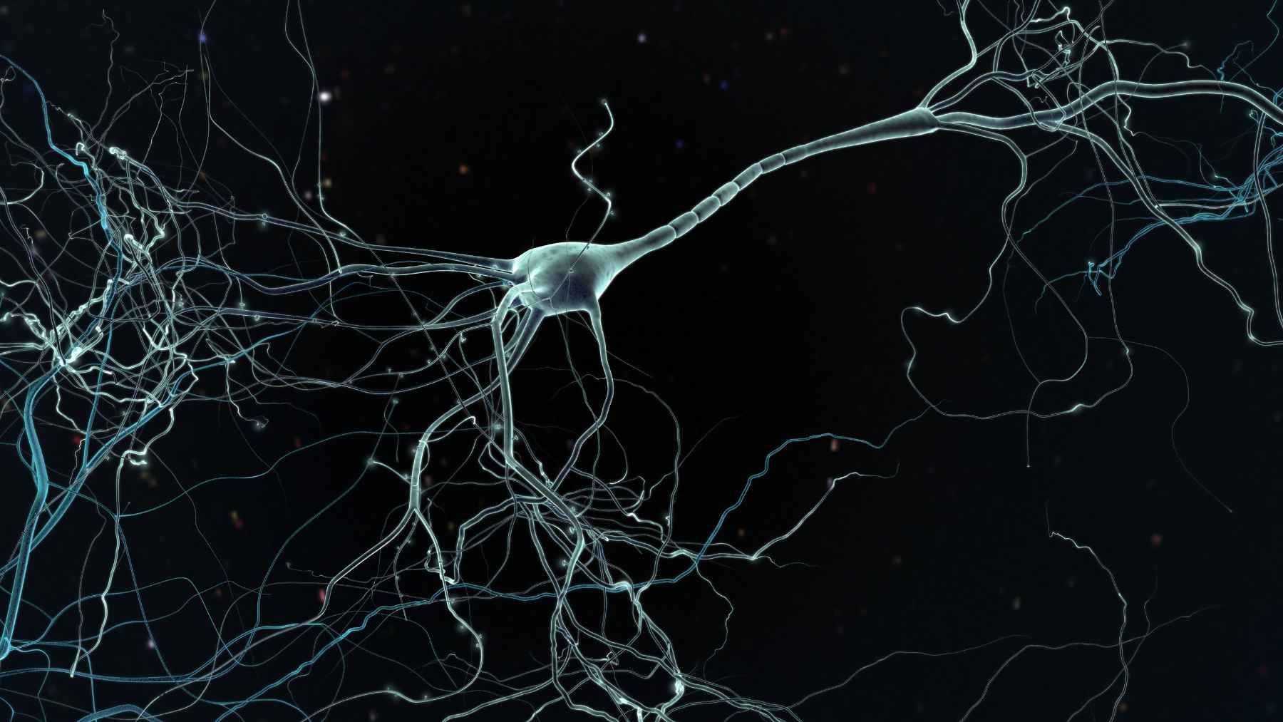 A person sitting in a quiet, peaceful space, representing neuroscience research on silence, brain health, and nervous system relaxation.