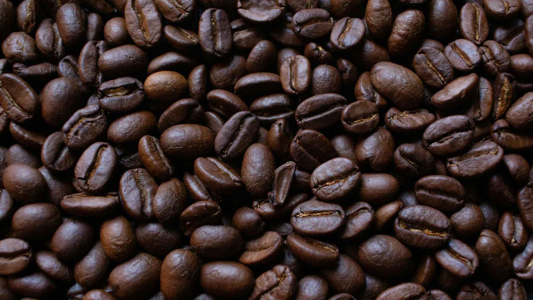 Do not toss your used coffee grounds: 10 uses that hold up, from compost and garden to odor control, with one caution before you put them anywhere near your skin 1 Used coffee grounds in a small bowl with coffee beans and green leaves, representing sustainable household and garden uses.