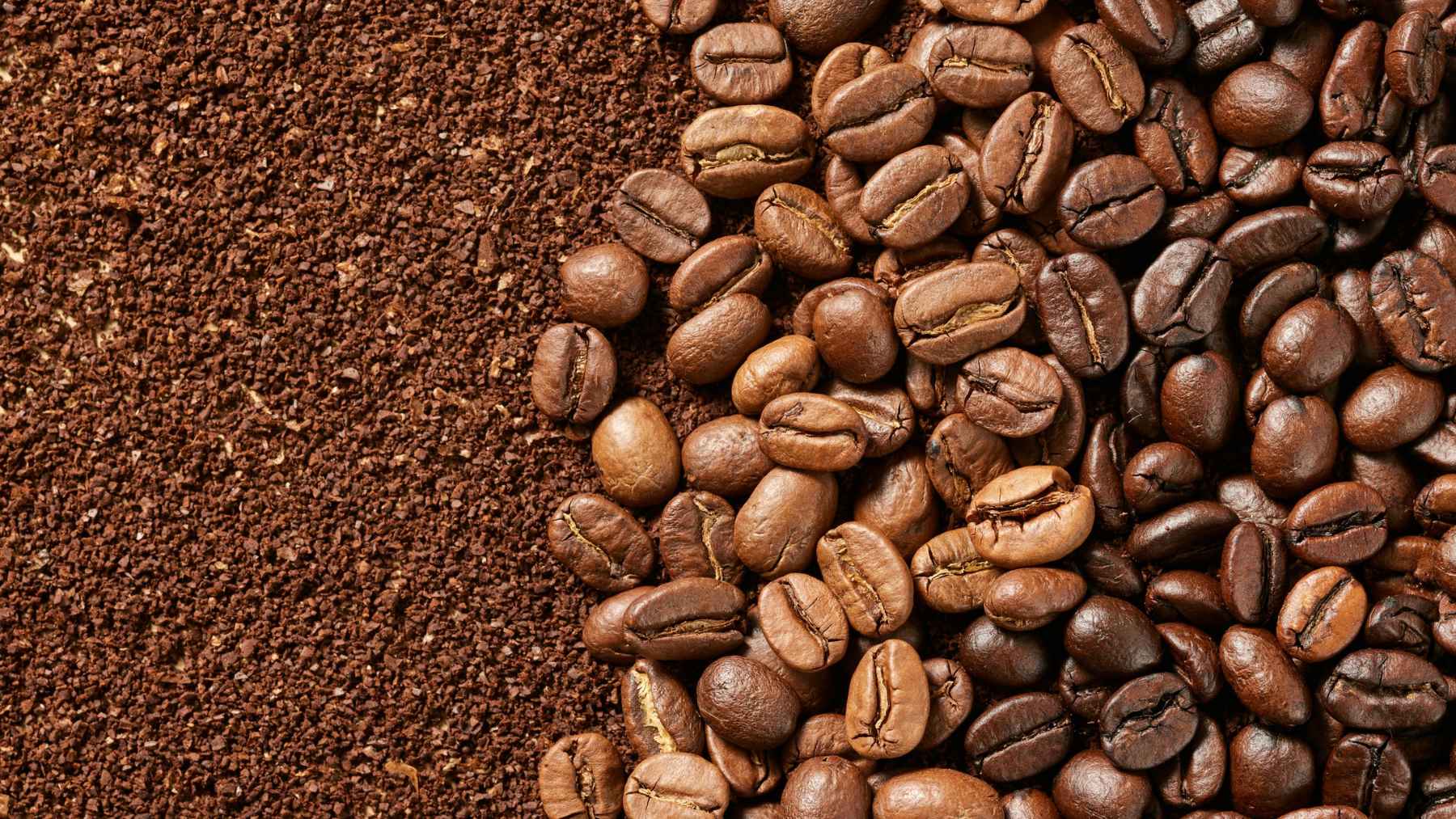 Used coffee grounds in a small bowl with coffee beans and green leaves, representing sustainable household and garden uses.