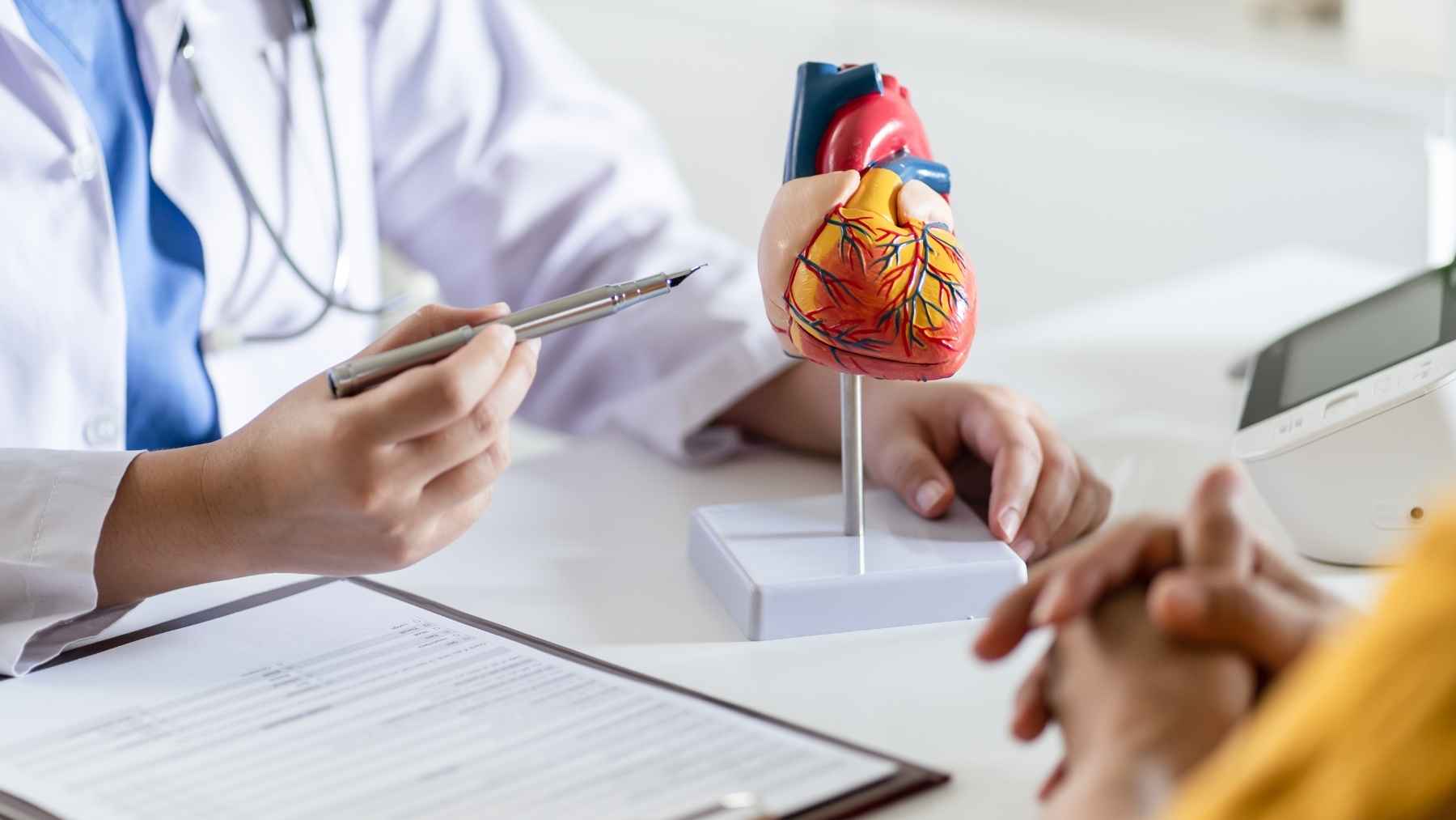 A heart health checkup involving a CT scan assessment to monitor arterial calcium buildup and plaque stability.