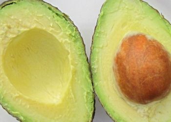 aguacate para aumentar la testosterona en mujeres