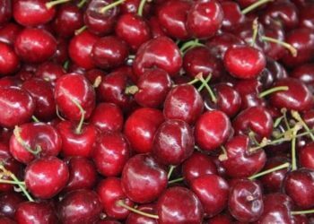 Cereza: beneficios, propiedades y usos