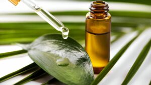 Belleza Verde: explora los beneficios del aceite de árbol de té para tu piel