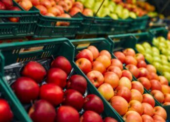 fruta recomienda Harvard