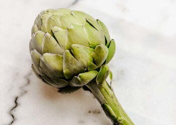 Adiós al SIBO: el alimento milagroso que lo cambia