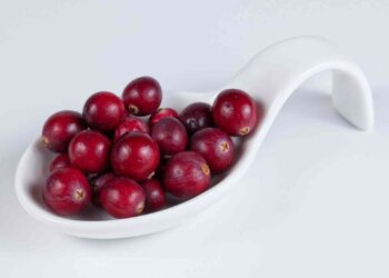 La fruta que los expertos han puesto de moda porque mejora la memoria y tu función cognitiva