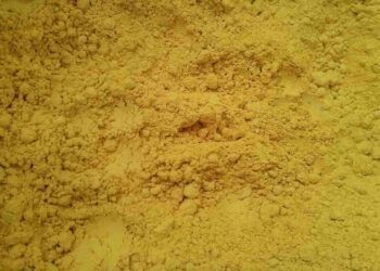 Berberina: beneficios, propiedades y usos en la salud