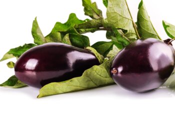 Berenjena: Beneficios, propiedades y usos
