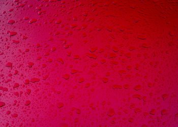 Psicología del color: así es tu personalidad según tu color favorito