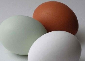 El inesperado aviso de los expertos sobre los huevos caducados: esto es lo que pasa si te los comes