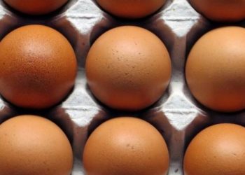 dieta del huevo duro