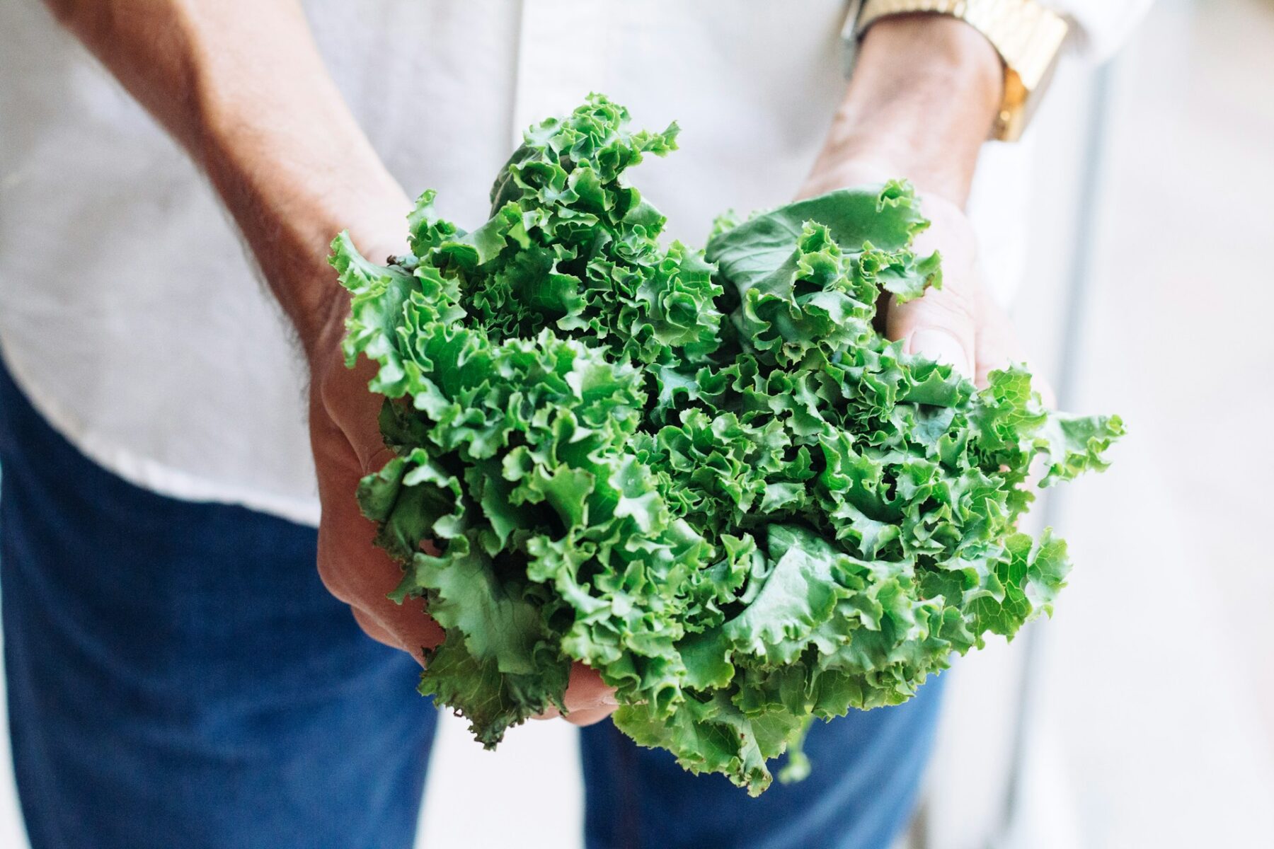 Kale: propiedades, beneficios y usos