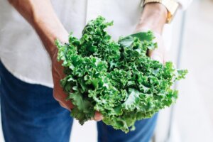 Kale: propiedades, beneficios y usos