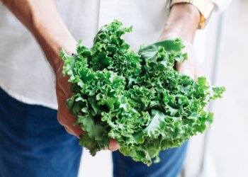 Kale: propiedades, beneficios y usos