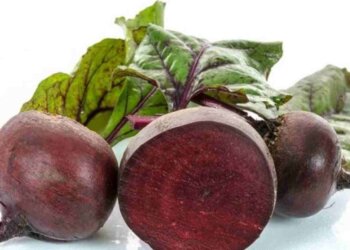 Remolacha: beneficios, propiedades y usos