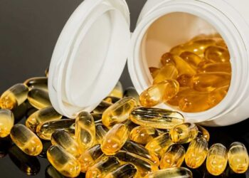 Krill: beneficios, propiedades y usos