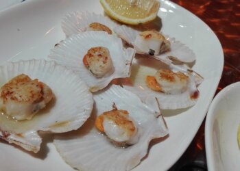 Zamburiñas: propiedades y beneficios para la salud