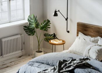 plantas para el dormitorio