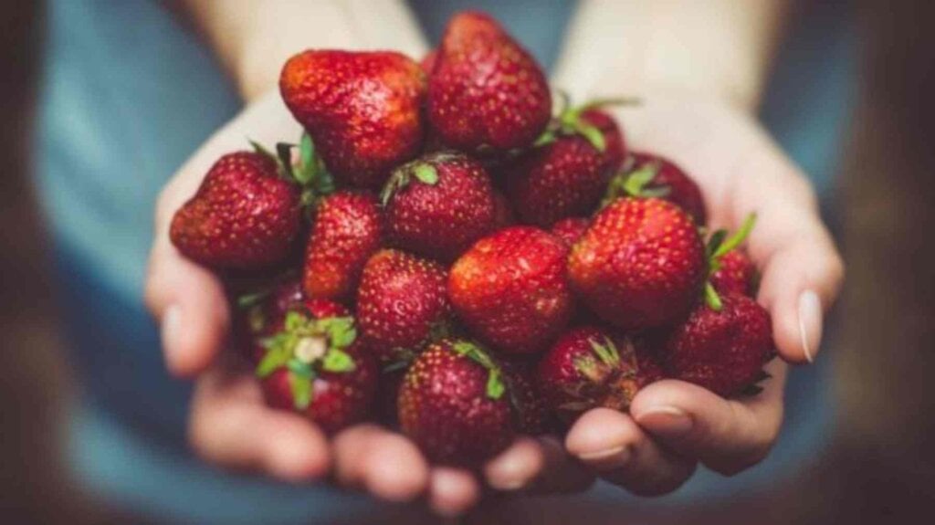 Ni azúcar ni edulcorantes: el truco para que las fresas sepan más dulces