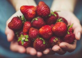 Ni azúcar ni edulcorantes: el truco para que las fresas sepan más dulces