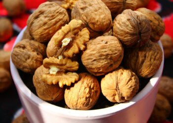 Todos hacen crucigramas, pero comer estos alimentos a diario ayuda a los mayores de 60 a mejorar la memoria