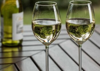 ¿Vino o cerveza? La ciencia revela cuál es la peor bebida para tu salud