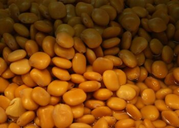 ¿Qué le pasa a tu cuerpo si comes altramuces todos los días?