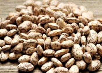 El alimento que casi nadie toma en España y que es clave para el corazón según un cardiólogo de Harvard