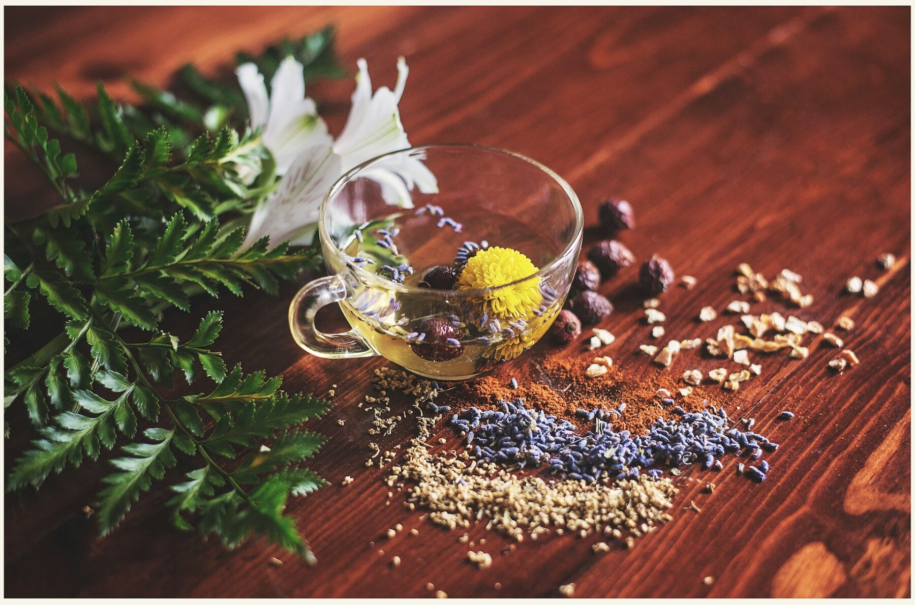 Pérdida de peso y energía sin sacrificar el sabor: este pudín de chía te ayudará a controlar tu apetito