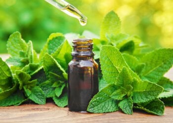 Menta para las ojeras