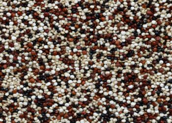 Quinoa