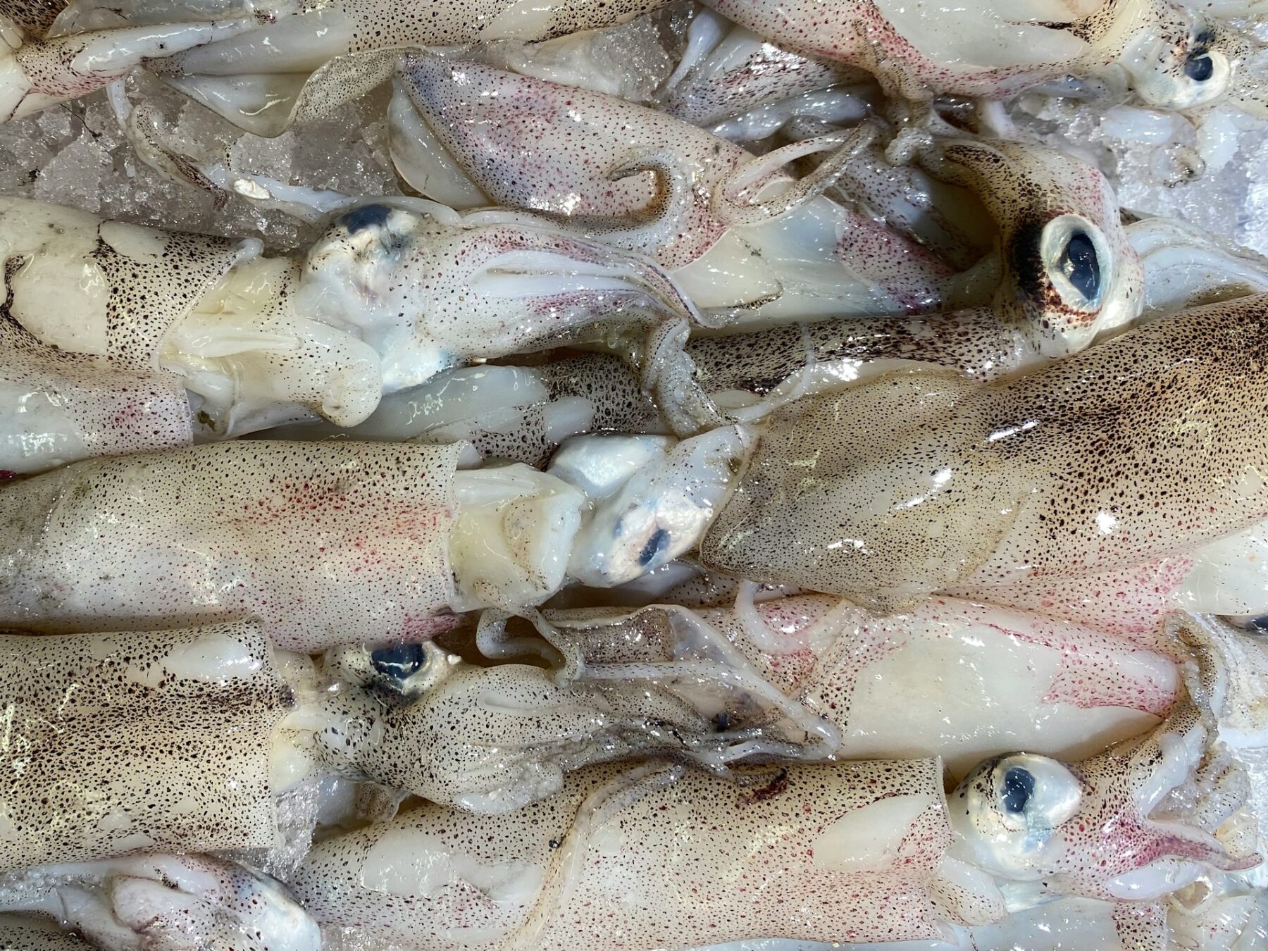 Cuidado con el alimento que no paras de comer en verano: el colesterol por las nubes