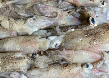 Cuidado con el alimento que no paras de comer en verano: el colesterol por las nubes