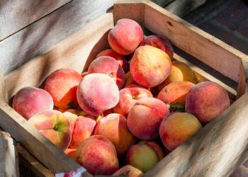 No vuelvas a comer melocotón: los motivos por los que debes olvidarte de esta fruta