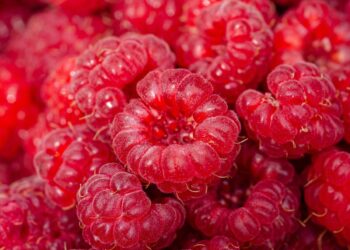 propiedades de las frambuesas