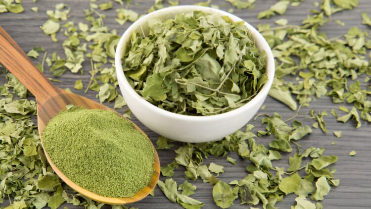 moringa