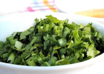 Cilantro, condimentos, hierbas aromáticas