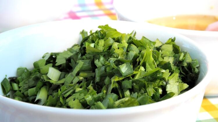 Cilantro, condimentos, hierbas aromáticas