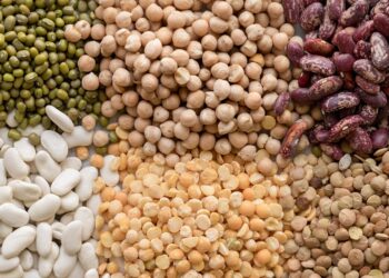 Alimentos, legumbres