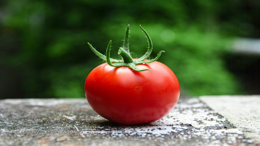 Beneficios del tomate, tomate, verano.