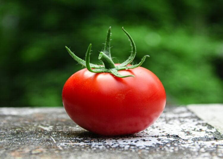 Beneficios del tomate, tomate, verano.