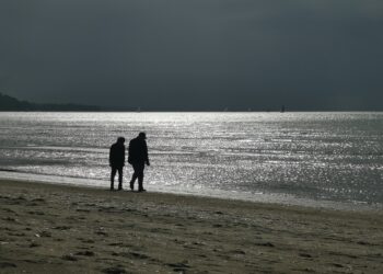 Llegar a los 120 ya es posible: el descubrimiento de los expertos que lo cambia todo