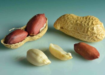 El fruto seco que tienes que comer para frenar el envejecimiento: tiene más proteínas que la carne